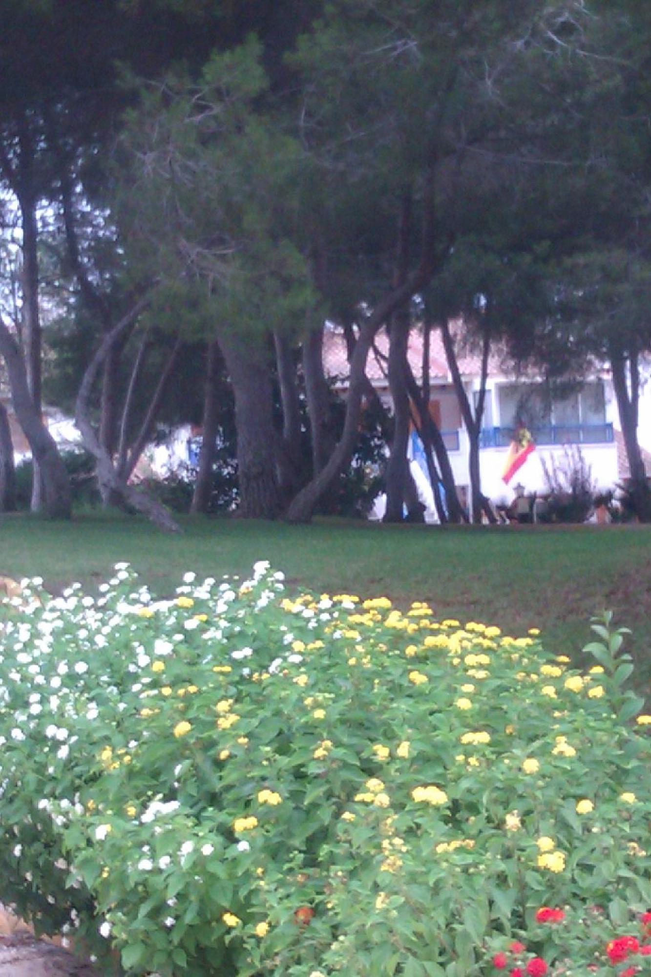 Chalet Adosado En Riomar-3, Urbanizacion Residencial Privada Torre de la Horadada Dış mekan fotoğraf